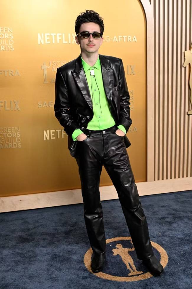 Timothée Chalamet Appearance and Style